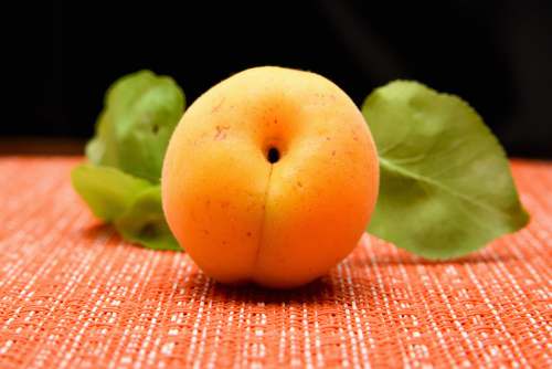 sex education orange fruit on red textile kinky